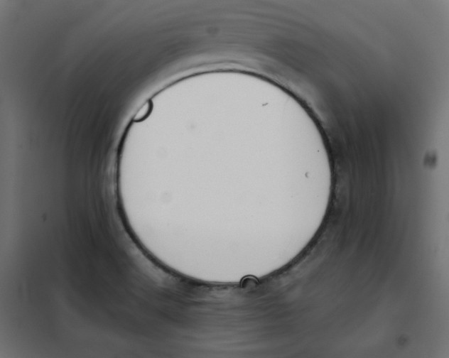 X0000101391516200807280926