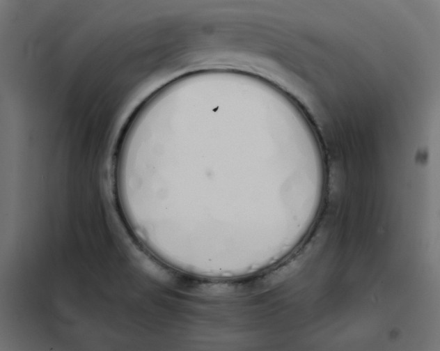 X0000101391517200807280926