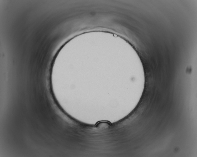 X0000101391518200807280926