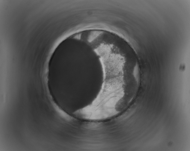 X0000101391519200807280926