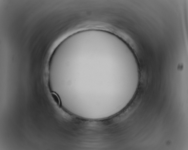 X0000101391520200807280926