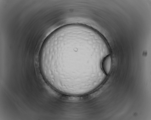 X0000101391521200807280926