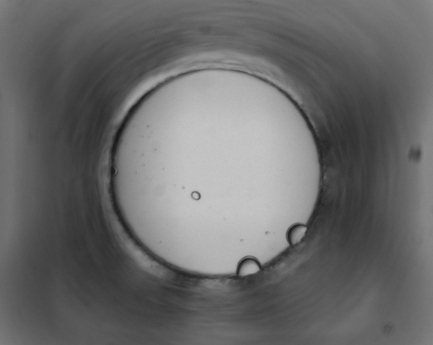 X0000101391523200807280926