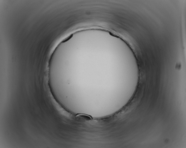 X0000101391524200807280926