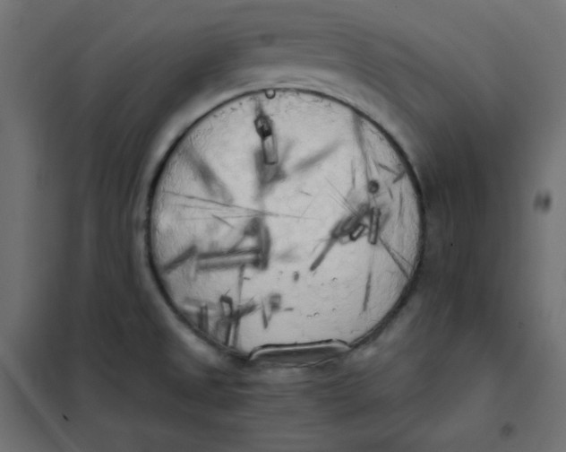 X0000101391525200807280926