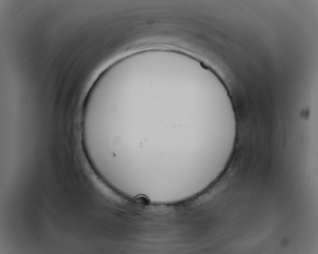 X0000101391526200807280926