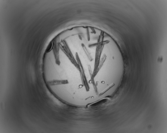 X0000101391527200807280926