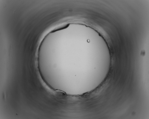 X0000101391528200807280926