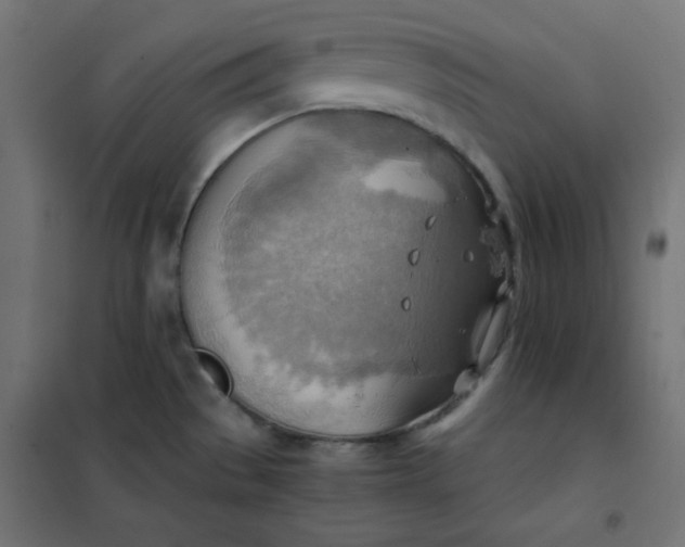 X0000101391529200807280926