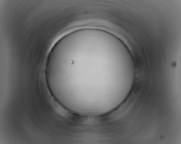 X0000101391530200807280926