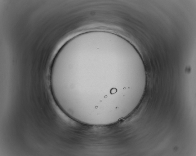 X0000101391531200807280926