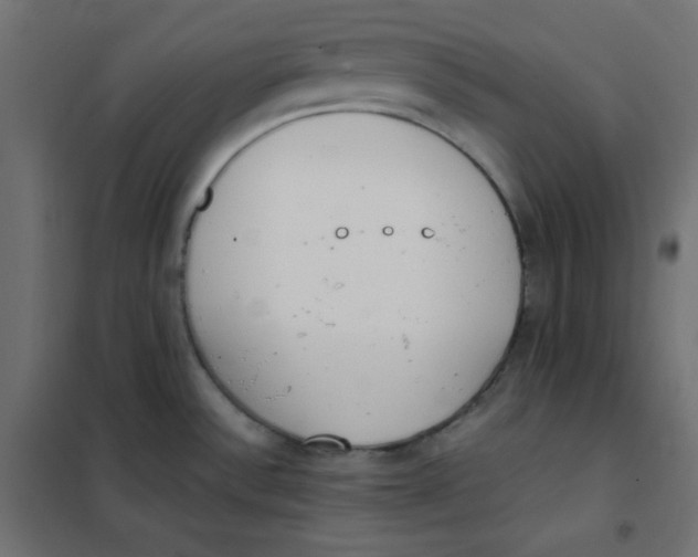 X0000101391532200807280926