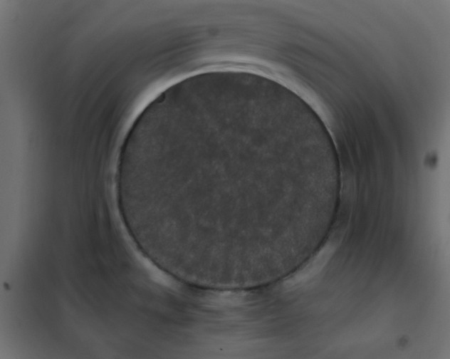 X0000101391533200807280926