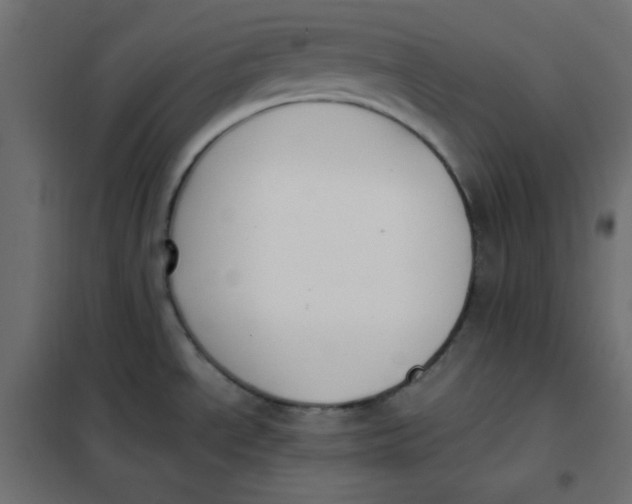 X0000101391534200807280926