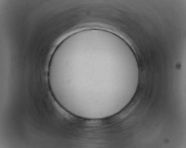 X0000101391535200807280926