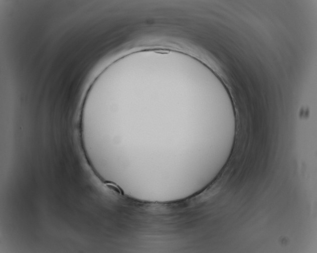 X0000101391536200807280926