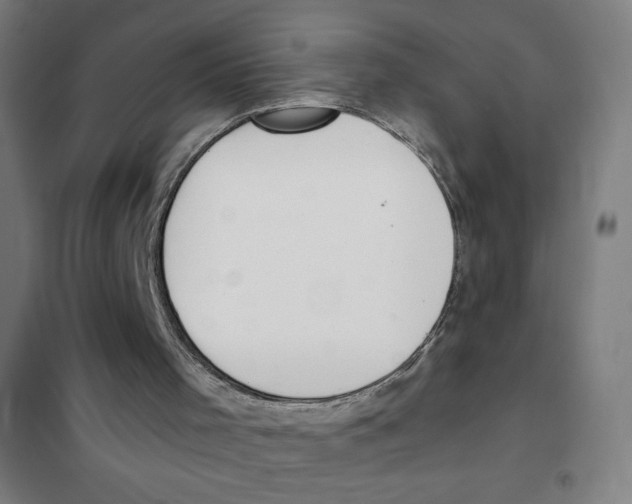 X0000101390001200808041028