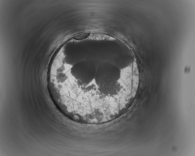 X0000101390002200808041028