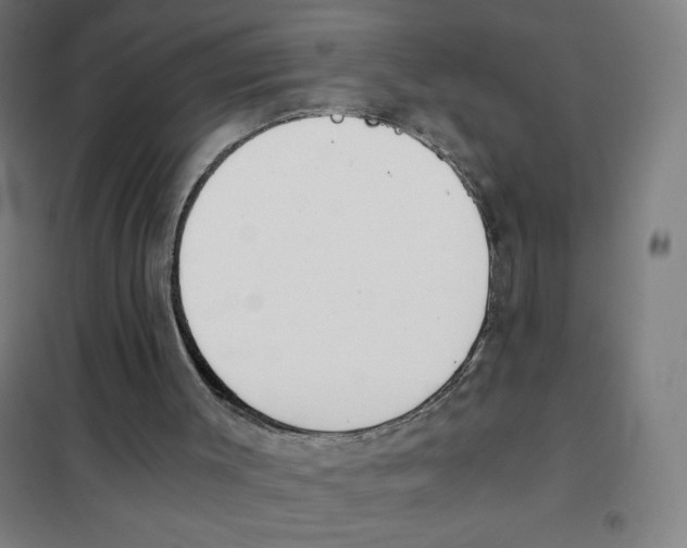X0000101390003200808041028