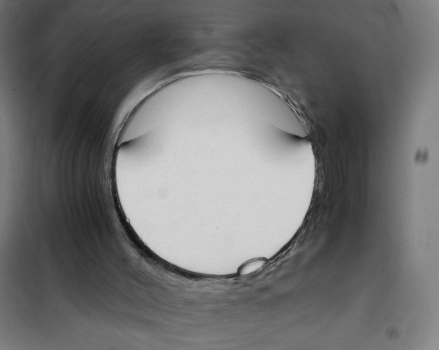 X0000101390004200808041028