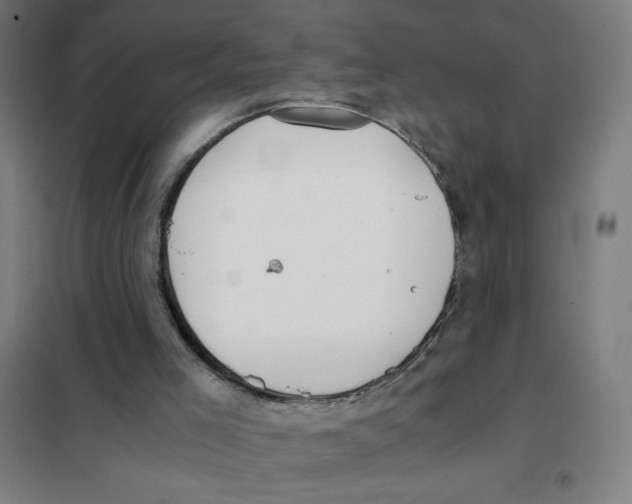 X0000101390005200808041028
