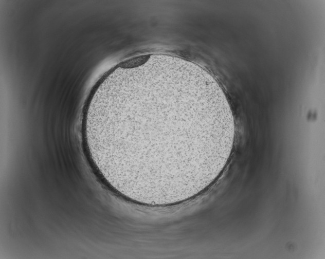 X0000101390006200808041028