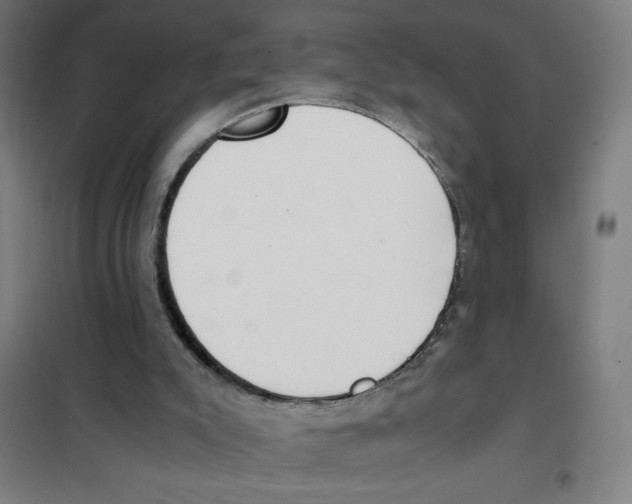 X0000101390007200808041028