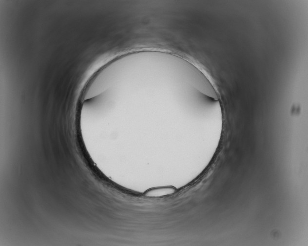 X0000101390008200808041028