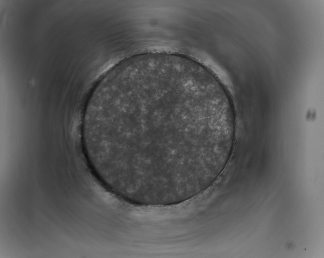 X0000101390009200808041028