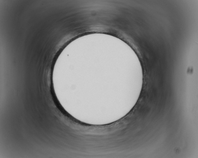 X0000101390011200808041028