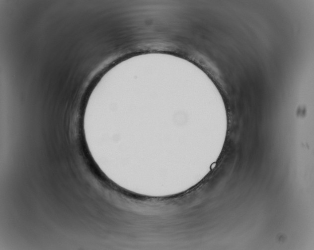 X0000101390012200808041028