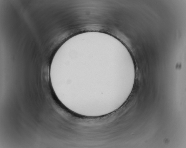 X0000101390013200808041028