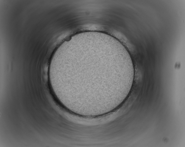 X0000101390014200808041028