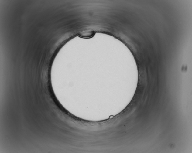 X0000101390015200808041028