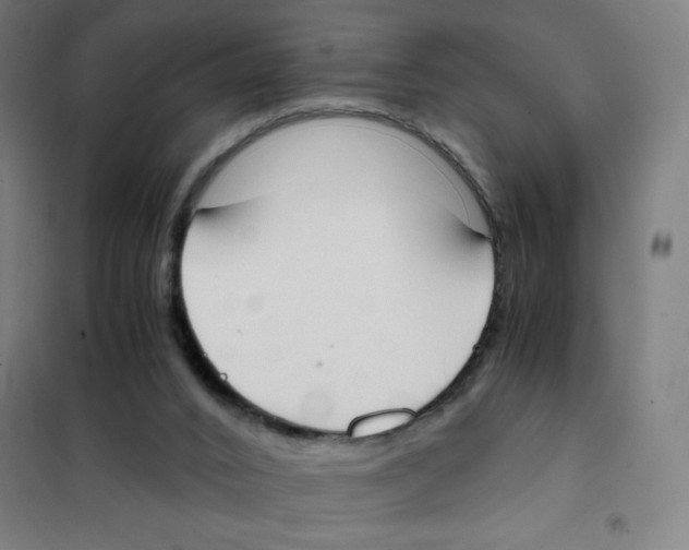 X0000101390016200808041028
