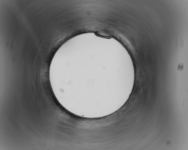 X0000101390017200808041028