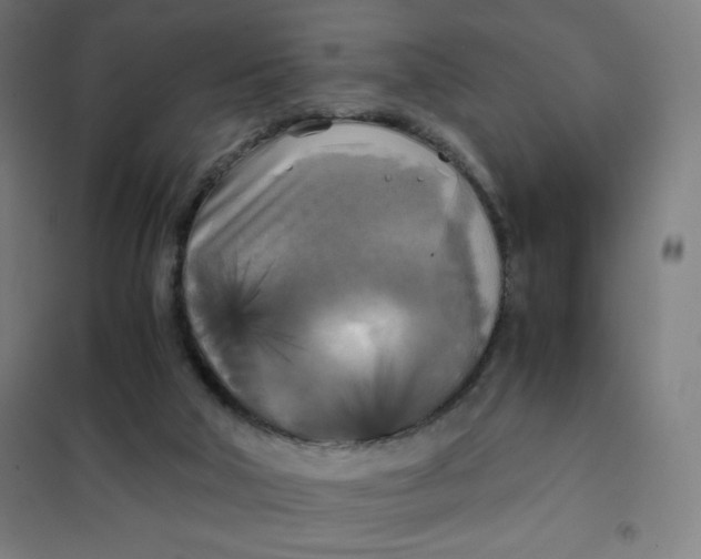 X0000101390018200808041028