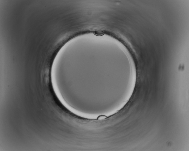 X0000101390019200808041028