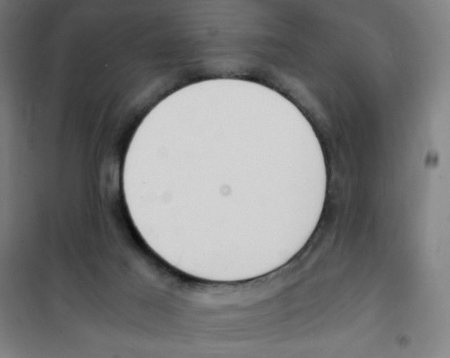 X0000101390021200808041028