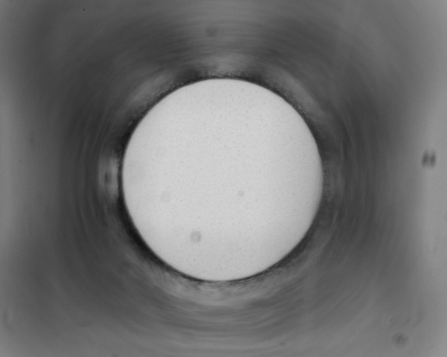 X0000101390022200808041028