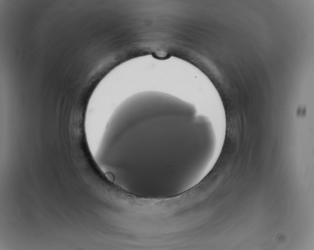 X0000101390023200808041028