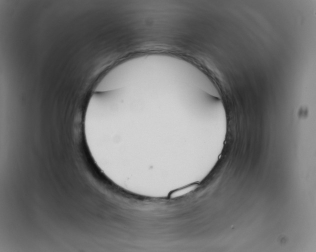 X0000101390024200808041028