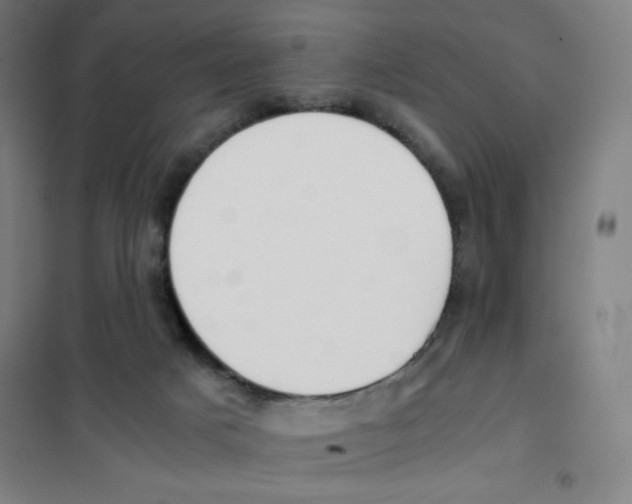 X0000101390025200808041028