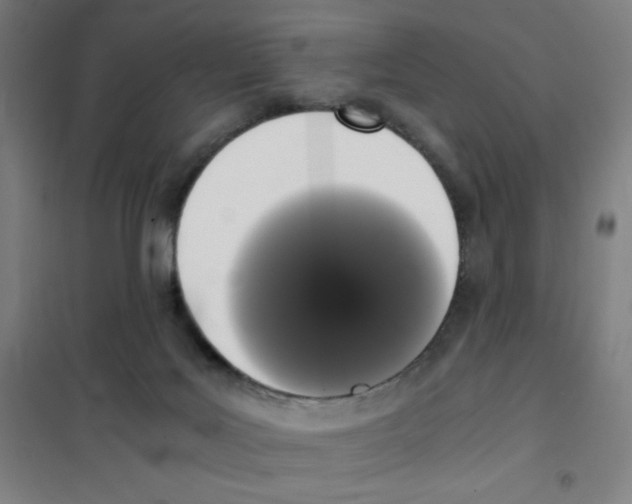X0000101390027200808041028