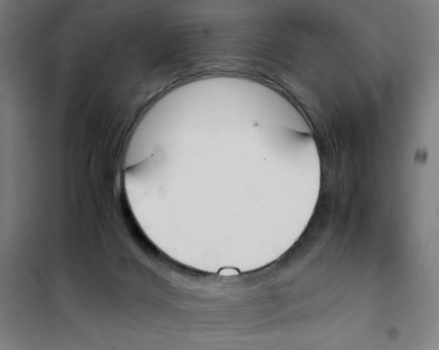 X0000101390028200808041028