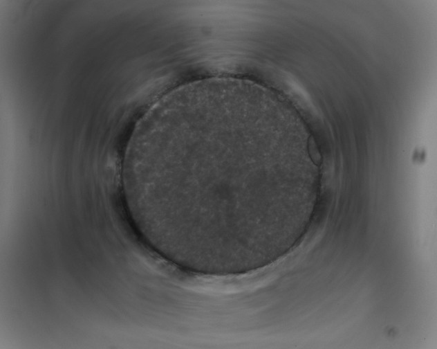 X0000101390029200808041028