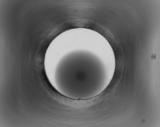 X0000101390031200808041028