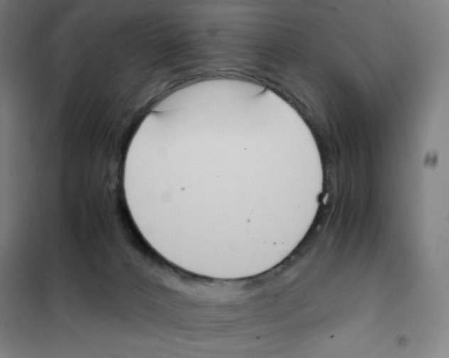 X0000101390032200808041028