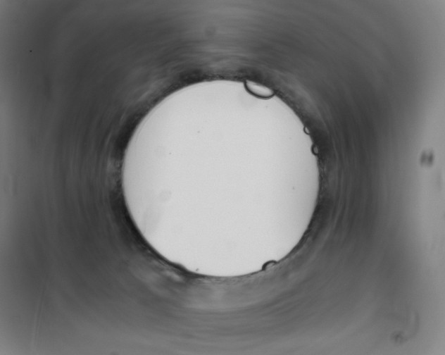 X0000101390033200808041028