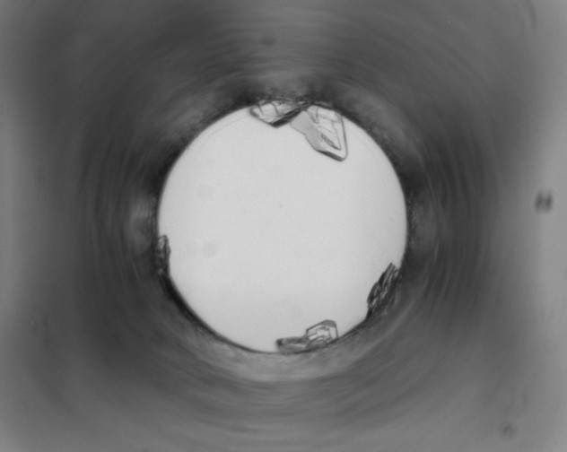 X0000101390034200808041028